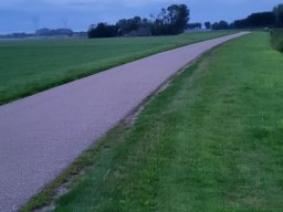 20230805_055105_resized_1