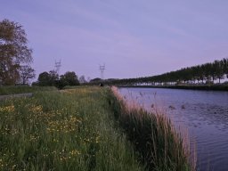 IMG-20240513-WA0016