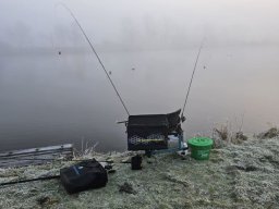 IMG-20250201-WA0016