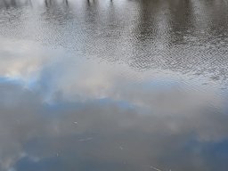 20250301_082713_resized