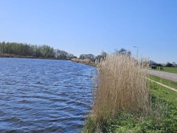 IMG-20250406-WA0006