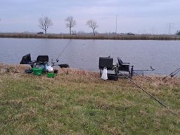 IMG-20250208-WA0003