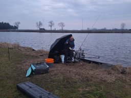 IMG-20250209-WA0011
