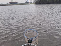IMG-20250209-WA0012