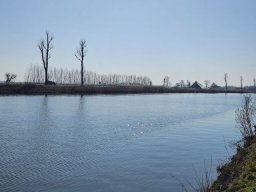 IMG-20250310-WA0008
