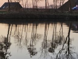 IMG-20250310-WA0019